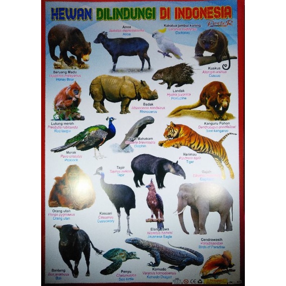 Jual POSTER EDUKASI SERI HEWAN | Shopee Indonesia