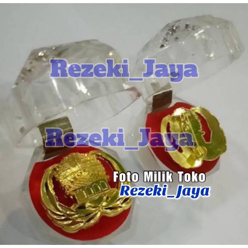 Jual Pin Korpri Pin Kopri Kuningan Peniti 3cm Plus Box Kwalitas PREMIUM ...