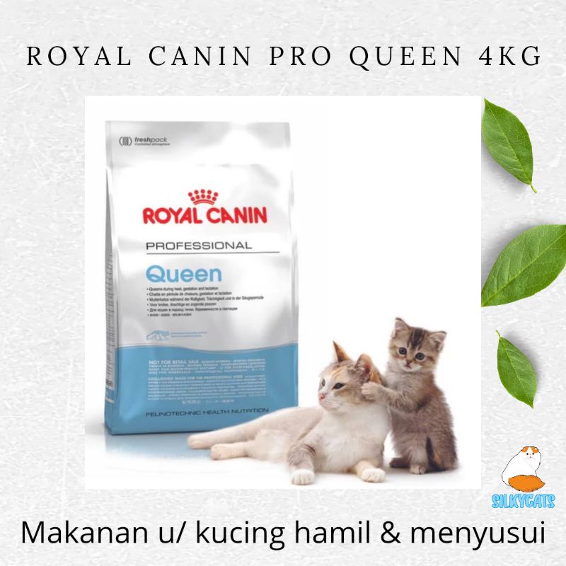 Royal canin pro outlet queen