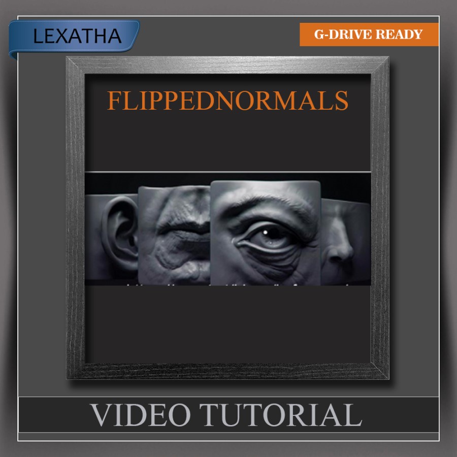 Jual FlippedNormals - Sculpting the Facial Features in Zbrush | Shopee ...