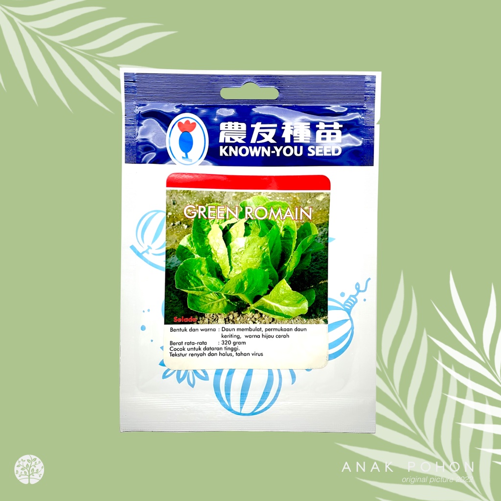 Jual (1 PACK) Benih Selada Green Romain Lettuce Romaine Seeds Known