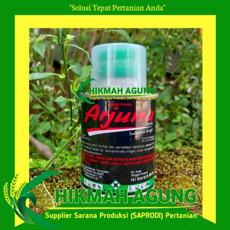 Jual Arjuna 200EC 80ml Insektisida Obat Pembasmi Hama Ulat Tanaman