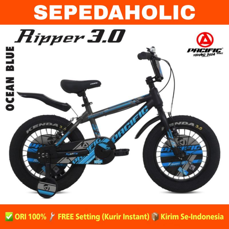 Jual Sepeda Anak Laki BMX PACIFIC RIPPER 3.0 Ban Jumbo Ukuran 12 16 18 Inch | Shopee Indonesia