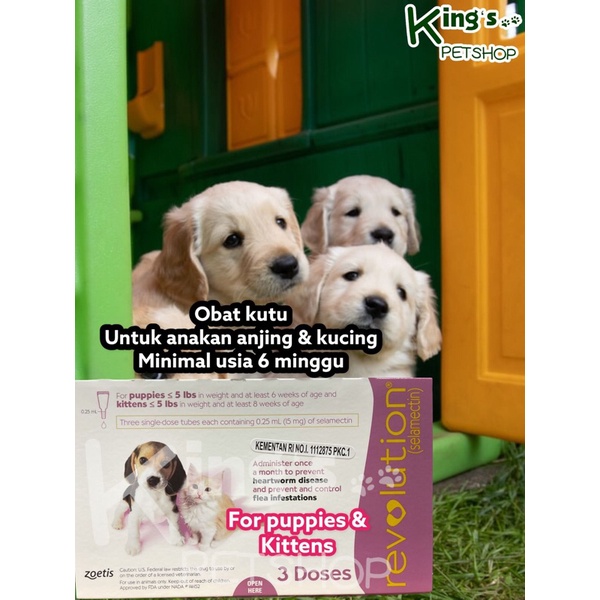 Jual REVOLUTION PUPPIES & KITTEN 15MG (PER PCS) | Shopee Indonesia