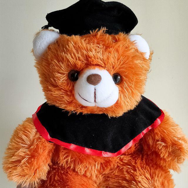 Jual Boneka Wisuda Beruang - Graduation Doll Teddy Bear | Hadiah - Kado ...