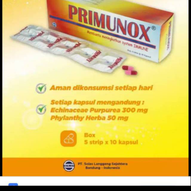 Jual PRIMUNOX VIT DAYATAHAN TUBUH. iSI SAMA DENGAN IMBOOST | Shopee ...