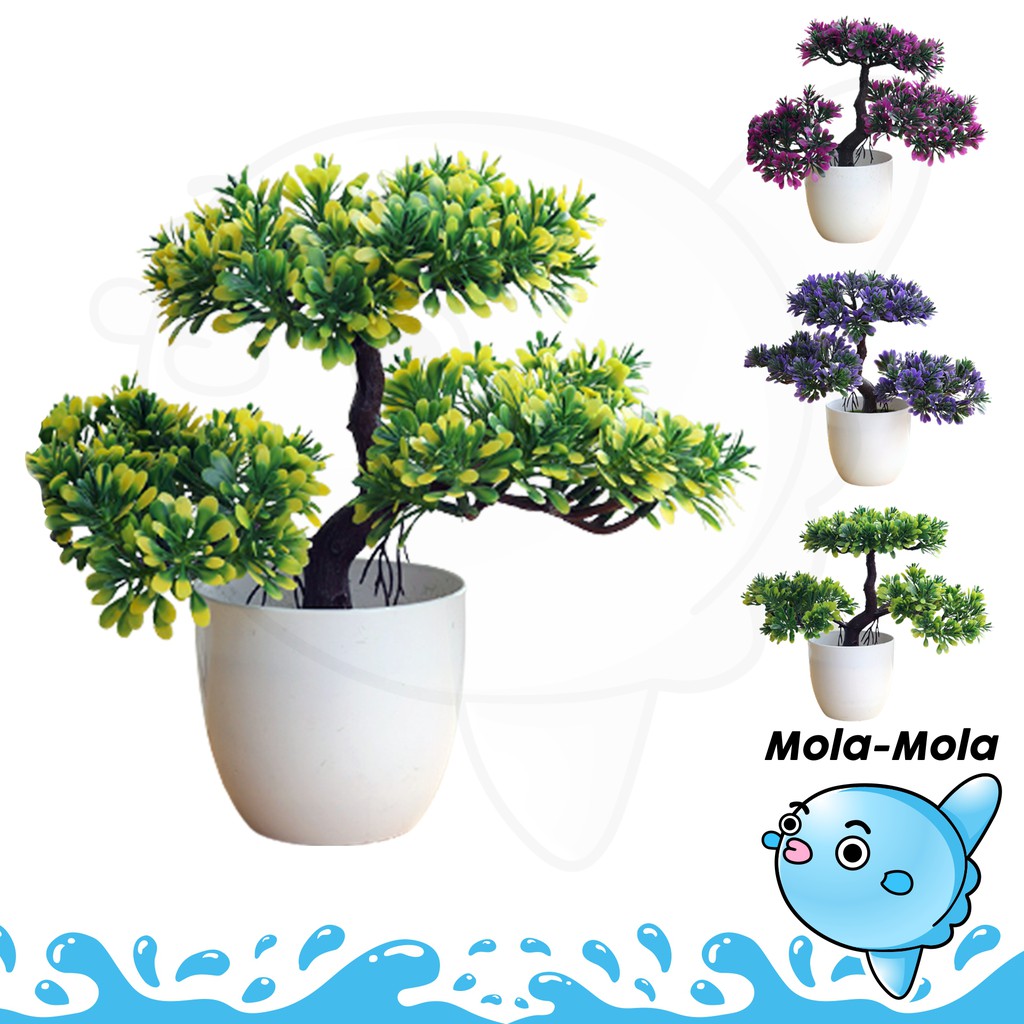 Jual MOLAMOLA PT28 Tanaman Bunga Bonsai Plastik Dekorasi Rumah Pot