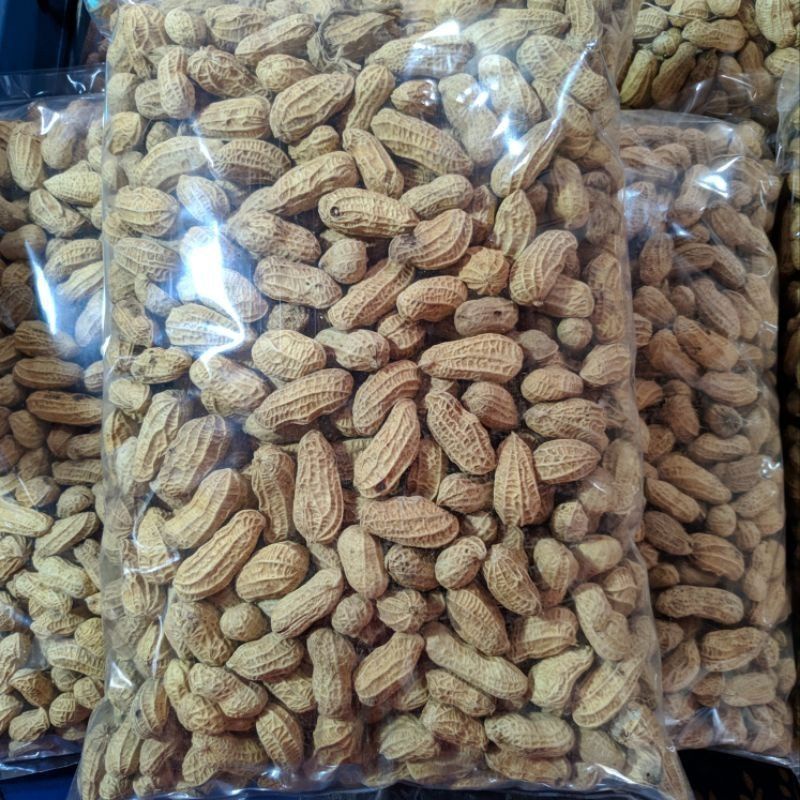 Jual Kacang Kulit Sangrai 250gr 1 4kg Kacang Bakar Kacang Renyah