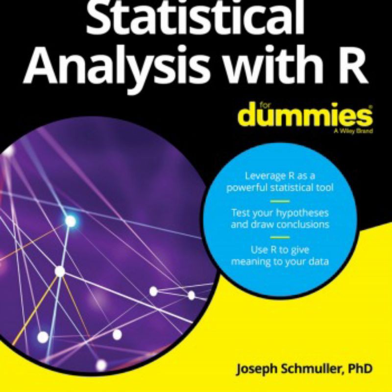 Jual Statistical Analysis with R for Dummies by Joseph Schmuller