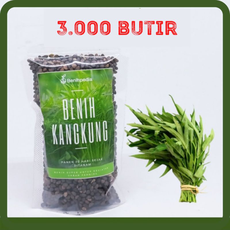 [3.000 butir] Benih/bibit Tanaman Sayuran Kangkung