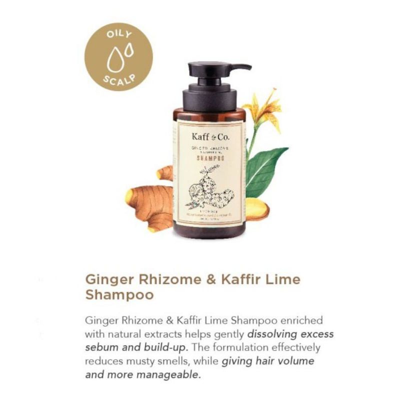 Jual Kaff And Co Ginger Rhizome Shampoo Natural 150 ml | Shopee Indonesia
