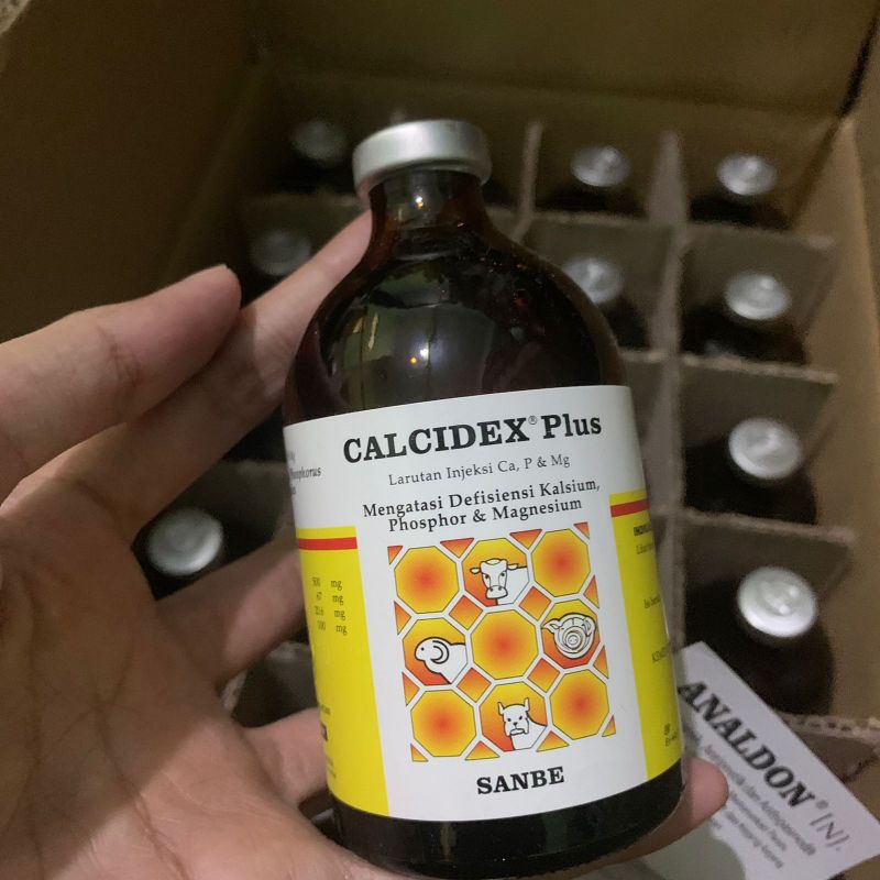 Jual Calcidex Inj 100 mL SANBE Untuk Ambruk sapi injeksi kalsium ...