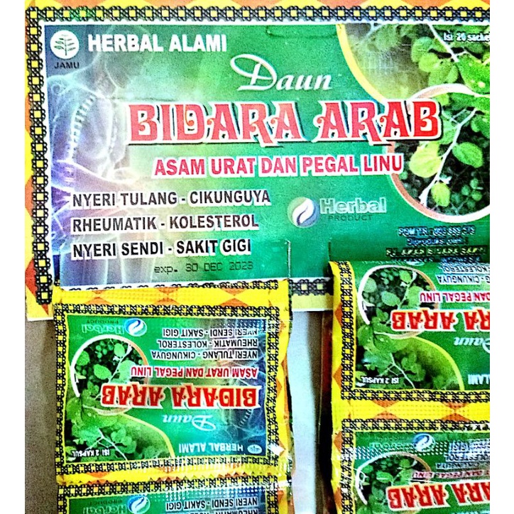 Jual Kapsul Daun Bidara Arab Asli Obat Ampuh Asam urat Nyeri Tulang ...