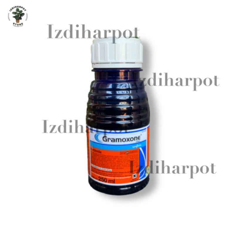 Jual HERBISIDA RACUN PEMBASMI RUMPUT & GULMA GRAMOXONE 276SL 250 ML ...