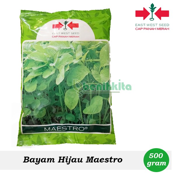 Jual Benih Bayam Hijau Maestro 500gr Cap Panah Merah Shopee Indonesia