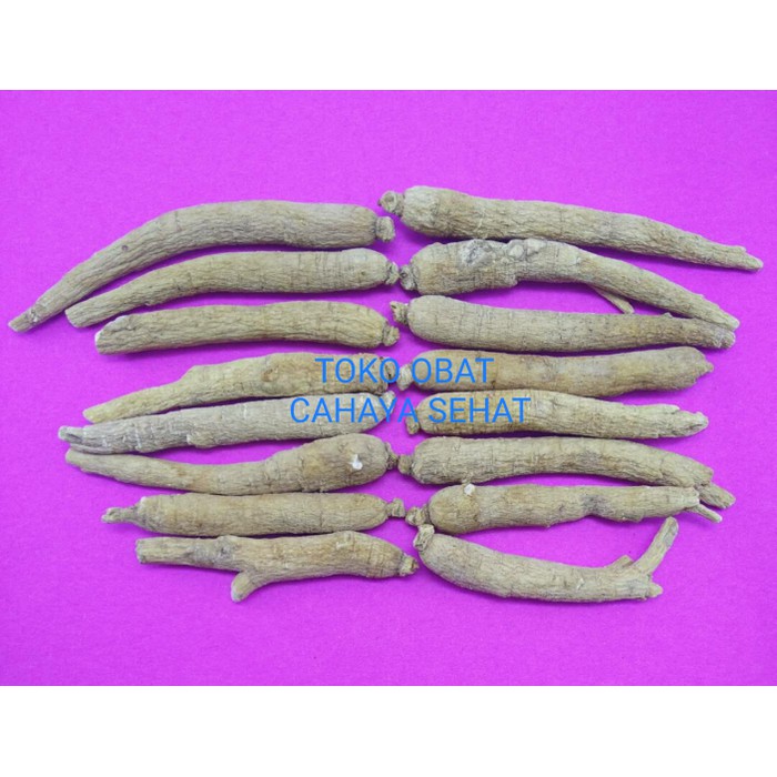 Jual OBAT HERBAL GINSENG AMERIKA/YIU SIM/HUA QI SEN(STAMINA,NAFSU MAKAN ...
