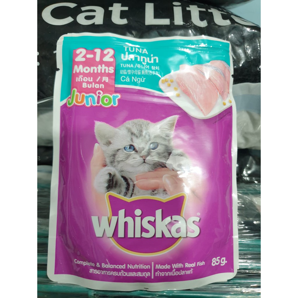 Jual Makanan Basah Anak Kucing Umur 212 Bln Whiskas 85gr Shopee Indonesia
