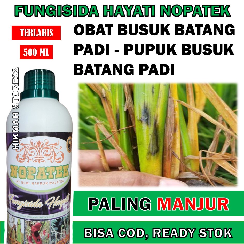 Jual Nopatek Obat Busuk Batang Padi Pupuk Busuk Batang Padi Obat