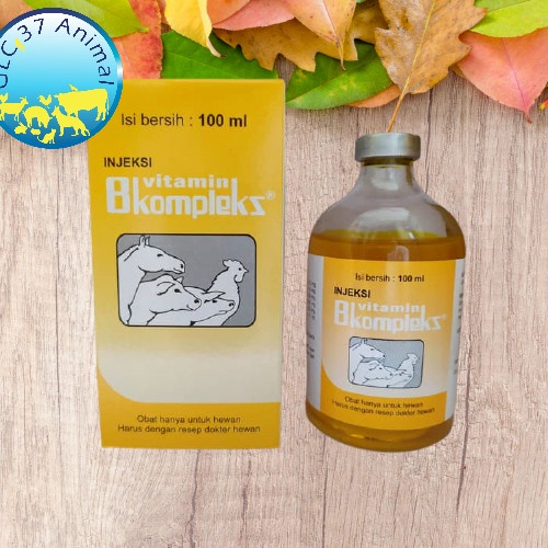 Jual VITAMIN B KOMPLEKS INJEKSI HEWAN 100 ML | Shopee Indonesia