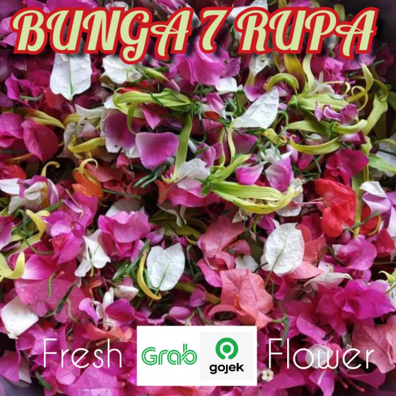 Jual Bunga Tujuh Rupa Terlengkap & Harga Terbaru Juni 2026 | Shopee ...