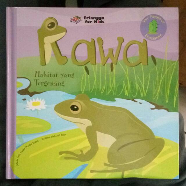 Jual Seri mengenal Ekosistem : Rawa | Shopee Indonesia