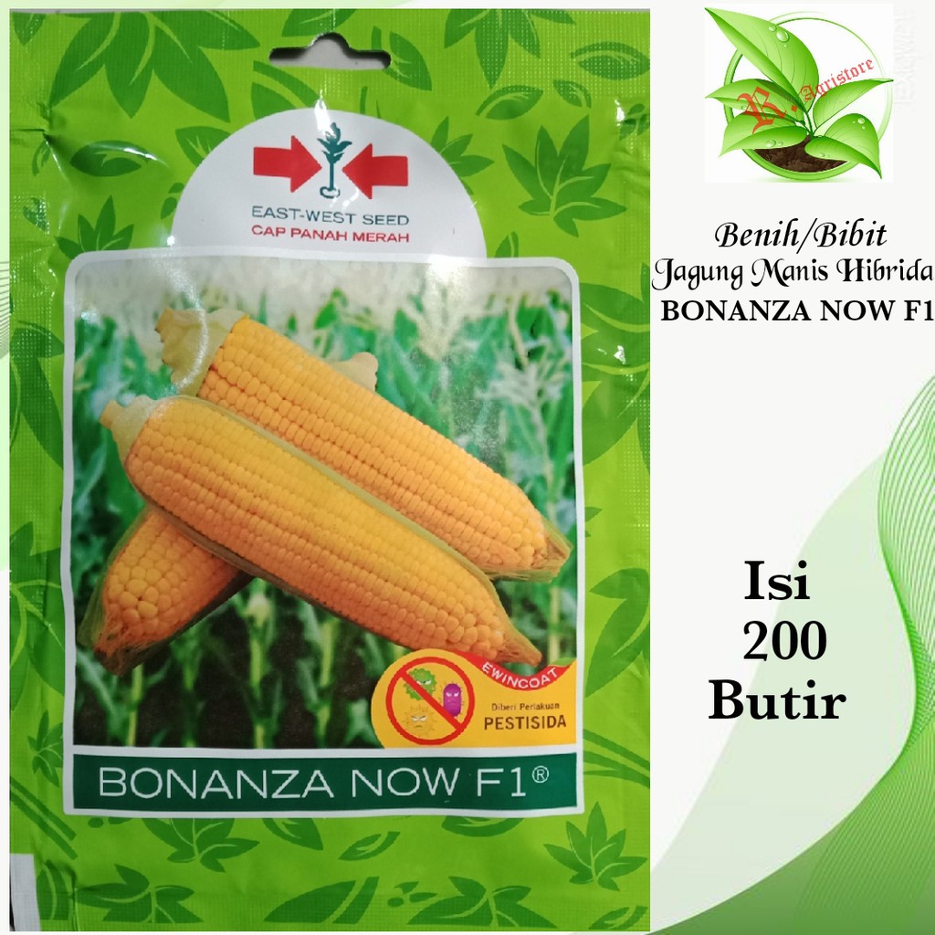 Jual Benih / Bibit Jagung Manis BONANZA NOW F1 Isi 200 Butir | Benih ...