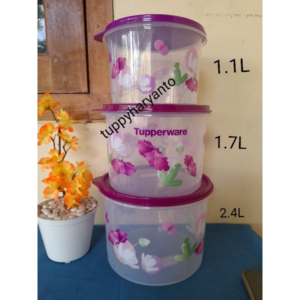Jual tupperware toples susu / toples kue snack daisy canister satuan ...