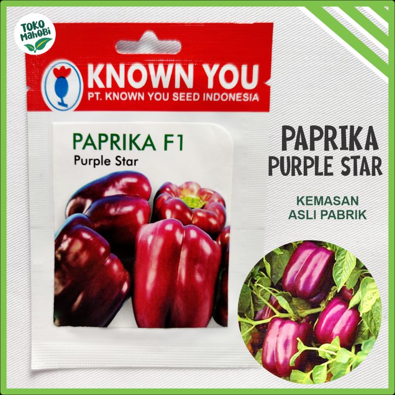 Jual Benih Paprika Ungu Unggul Purple Star Kemasan Original Known You Seed F Hibrida Super