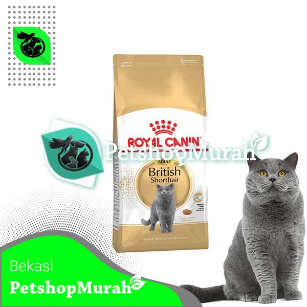 Jual Makanan Kucing Royal Canin British Shorthair Adult 2 Kg Cat