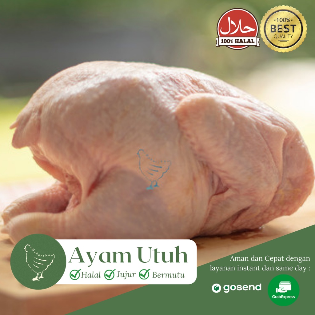 Jual Ayam Utuh Ayam Karkas Ayam Broiler Ukuran 700gr 1 1kg