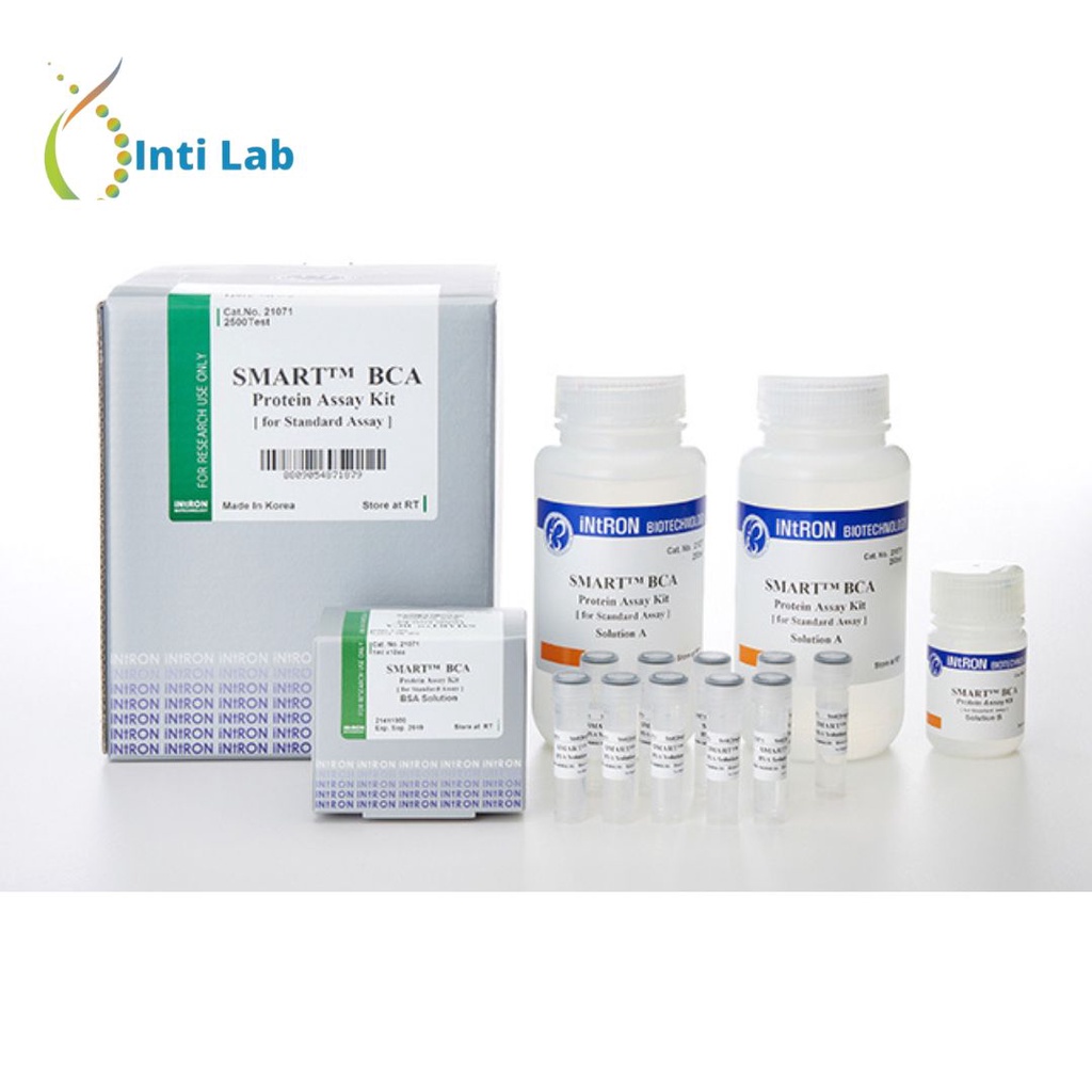 Jual iNtRON SMART™ BCA Protein Assay Kit (Expired Date) Shopee Indonesia