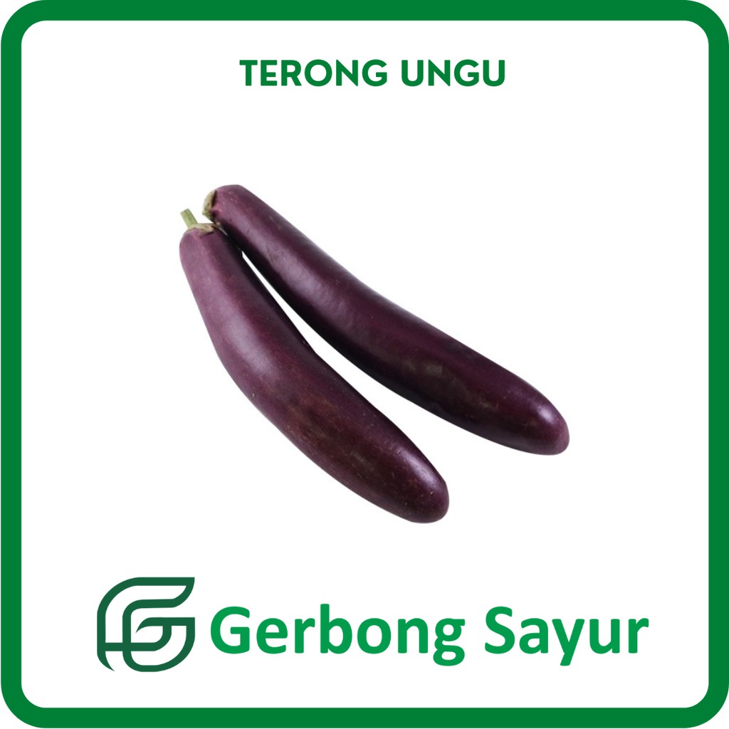 Jual Terong Ungu Segar 500g Shopee Indonesia