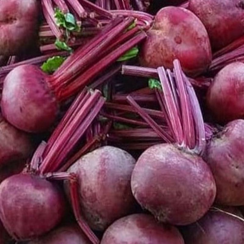 Jual Beetroot Buah Bit Segar Per 1kg Shopee Indonesia