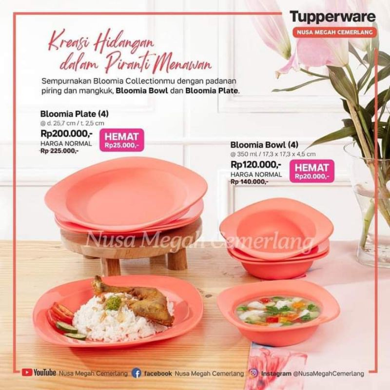 Jual piring saji atau makan Tupperware bloomia plate | Shopee Indonesia