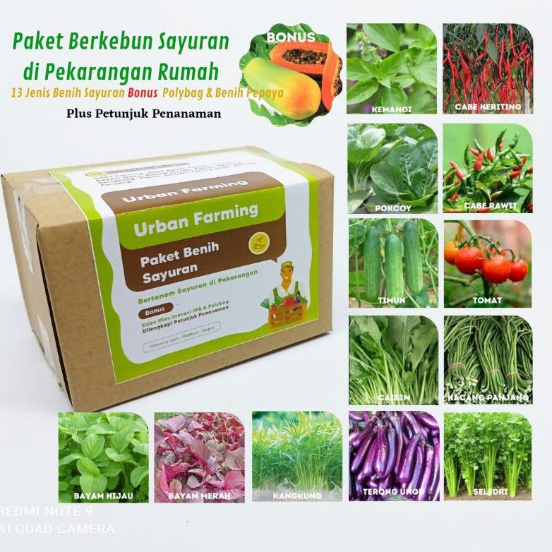 Jual Paket Berkebun Jenis Benih Sayuran Cabe Pokcoy Tomat Caisin