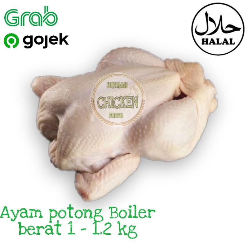 Jual Ayam Potong Boiler Karkas Fresh Segar Berkualitas Termurah 1 1 2