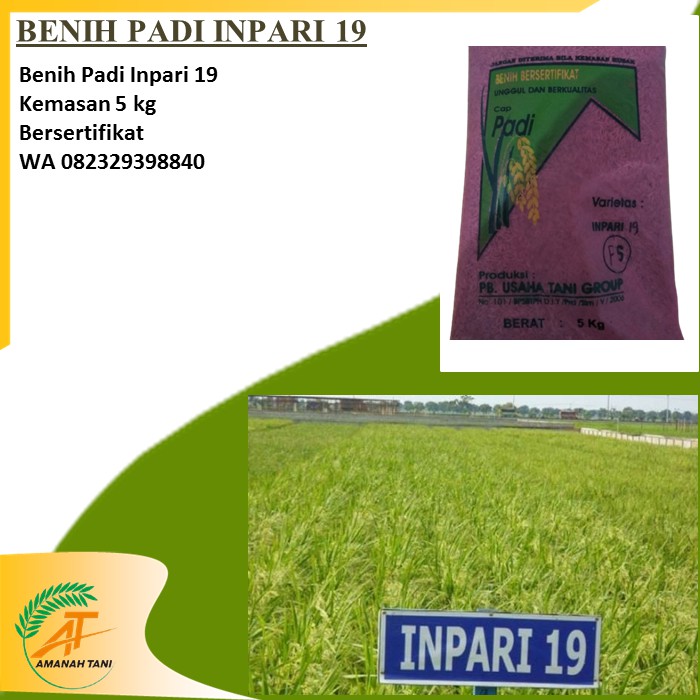 Jual Benih Padi Inpari Bersertifikat Berlabel Shopee Indonesia