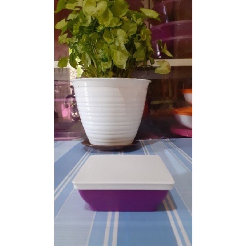 Jual Small Ichigo (1pcs) Tupperware | Shopee Indonesia