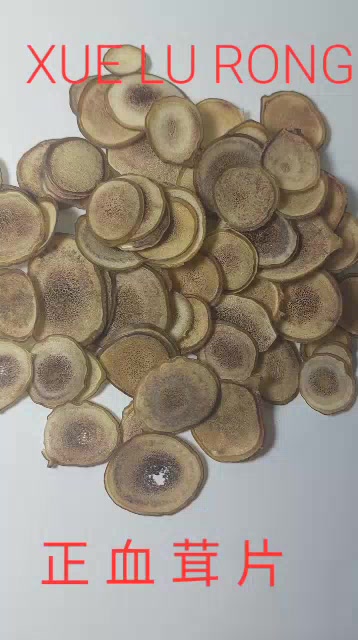 Jual Xue Lu Rong 10 gram - Beludru Darah Produk Asli Tanduk Rusa Darah ...