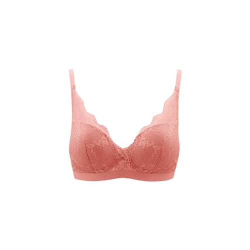 Jual Wacoal Classic Bra IB 4540 3/4 Cup Non Wire Shopee Indonesia