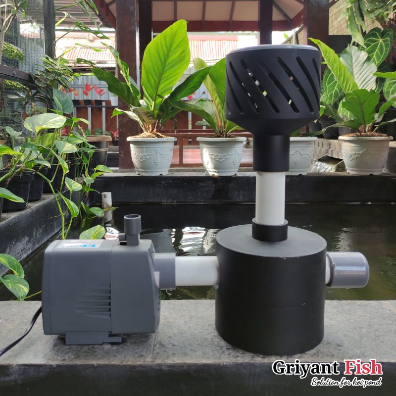 Jual Paket Instalasi Skimmer Kolam Koi I Skimmer Statis Pompa Air Celup