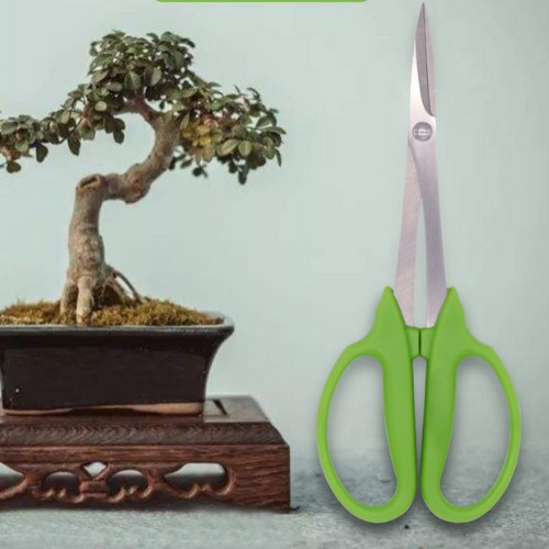 Jual Gunting Pruning Bonsai 210 Mm Alat Potong Ranting Bonsai Stek ...