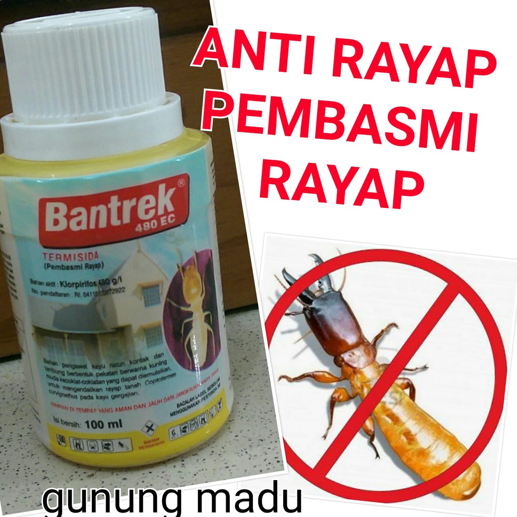 Jual ANTI RAYAP BANTREK 480 EC / PEMBASMI RAYAP / OBAT RAYAP 100 ML ...