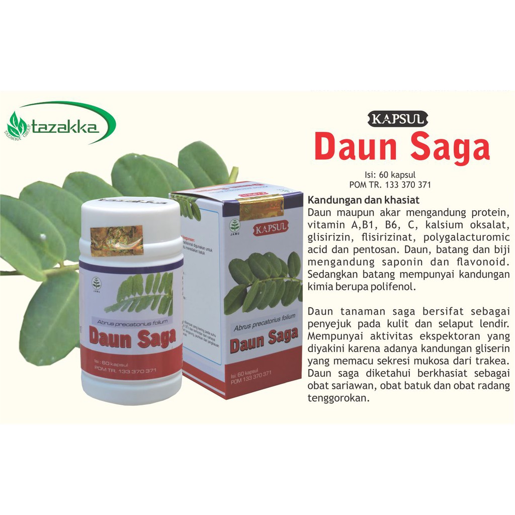 Jual Kapsul Daun Saga Original Tazakka Ampuh Mengobati Batuk Radang