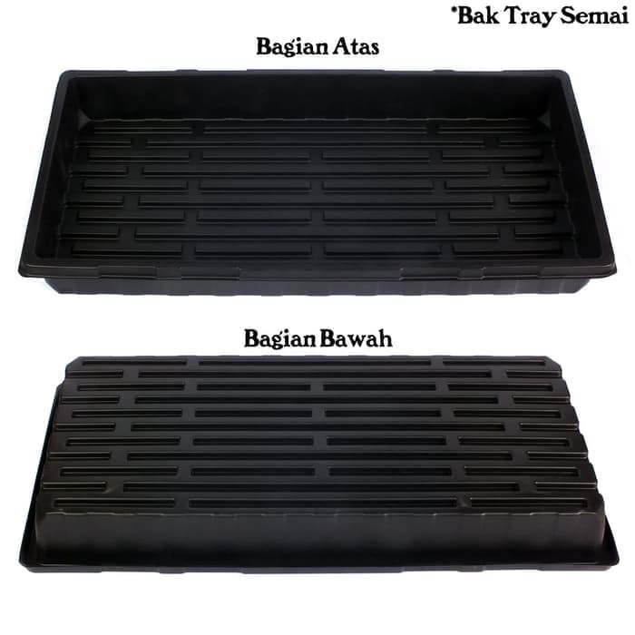 Jual Alas Tray Semai Bak Tray Bibit Benih Seedling Bak Nutrisi