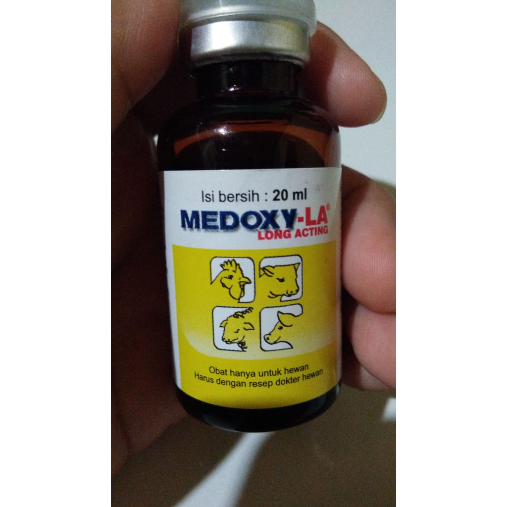 Jual Medoxy La Obat Hewan Obat Mastitis Shopee Indonesia