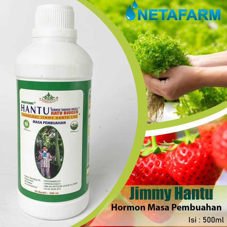 Jual Pupuk Organik Cair Jimmy Hantu Jagotani Hormon Pembuahan 500 Ml Shopee Indonesia 