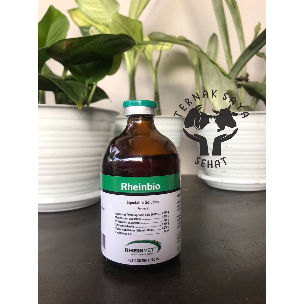Jual RHEINBIO 100 ml Injeksi ATP Energi (Penguat Otot dan Stamina Hewan ...