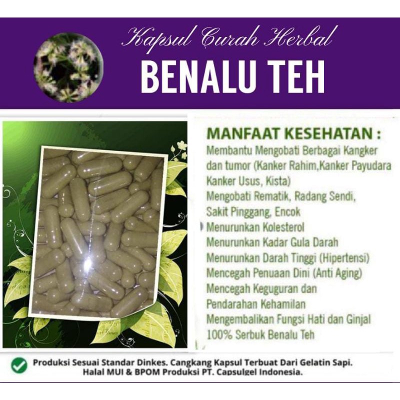 Jual Kapsul Curah Herbal Benalu Teh Kapsul Kanker Syaraf Hipertensi