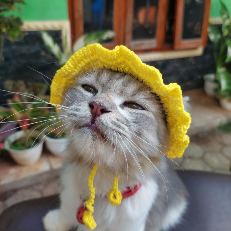 Jual [READY STOCK]Topi Kucing Rajut / Headband Kucing / Aksesoris ...